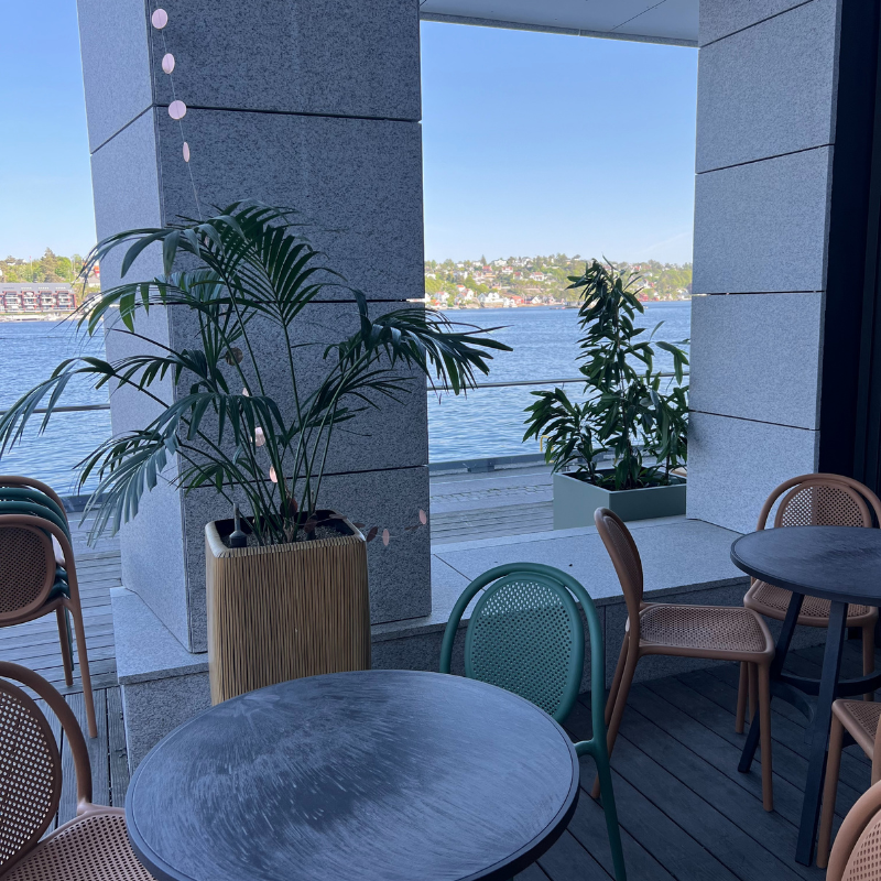 Torsdag 19/6 🌴 Sommerfest & Menylansering på Havgløtt