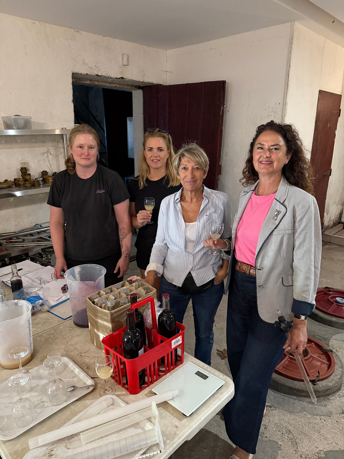 Château de Malle – en vingård på restart