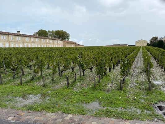 Vår siste dag i Bordeaux - kjøreturen gjennom Medoc