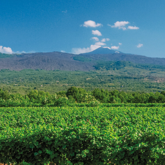 21. april – SICILIA LIVE -Der vulkan møter vin – Planeta på Havgløtt