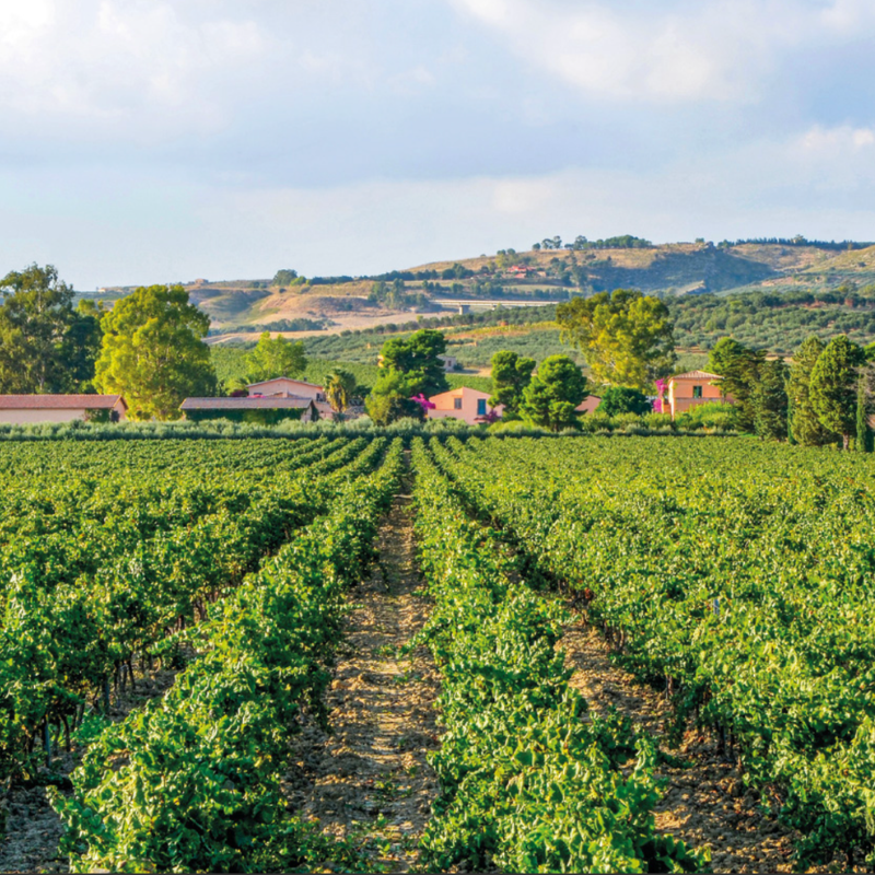 21. april – SICILIA LIVE -Der vulkan møter vin – Planeta på Havgløtt