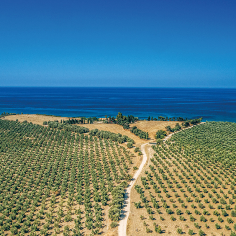 21. april – SICILIA LIVE -Der vulkan møter vin – Planeta på Havgløtt